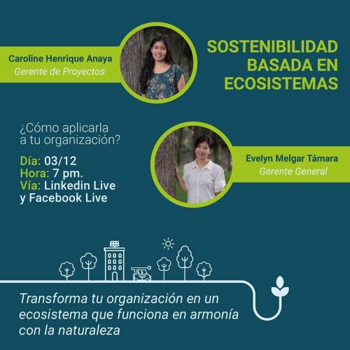 Sostenibilidad basada en ecosistemas: ¿cómo aplicarla en tu organización?